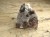 granat w skale kwarcowo-skaleniowej * Namibia