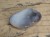 agat Botswana