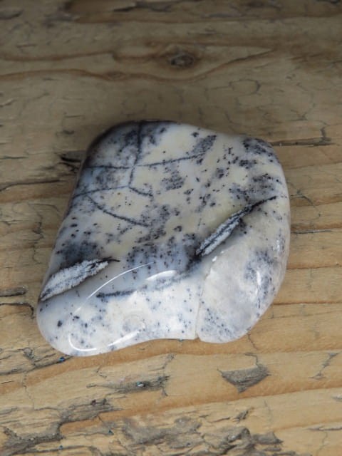 opal mszysty * Turcja