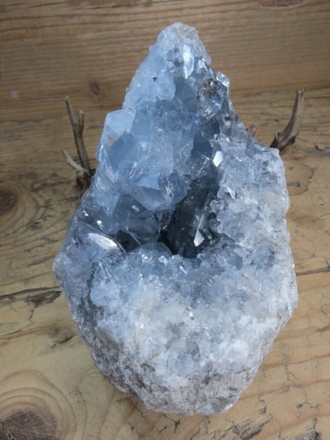 celestyn geoda * Madagaskar