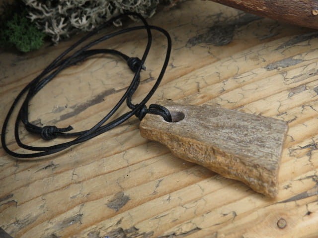 skamieniałe drewno * Polska * talizman długowieczności