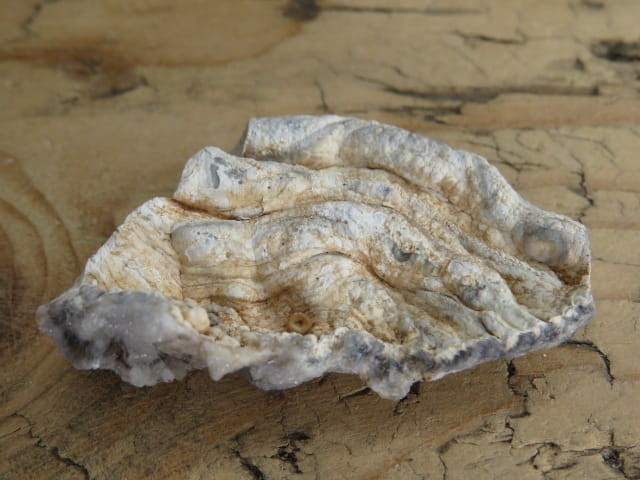 chalcedon - róża chalcedonowa - Brazylia