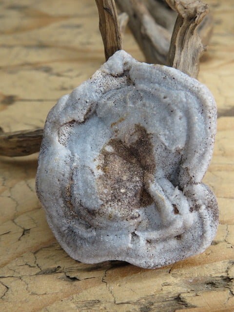 chalcedon - róża chalcedonowa - Brazylia