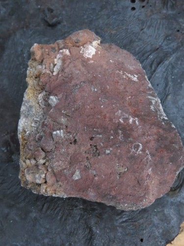 LILIOWIEC - trochity w skale