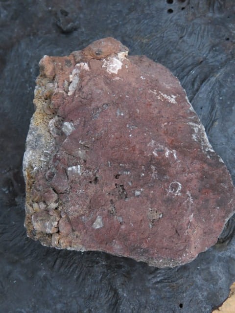 LILIOWIEC - trochity w skale