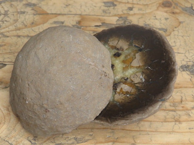 septaria sferosyderyt * syderyt ilasty * Polska - para