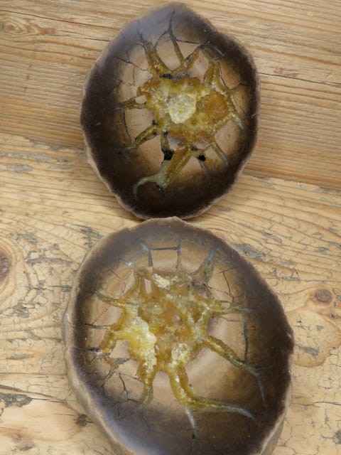 septaria sferosyderyt * syderyt ilasty * Polska - para