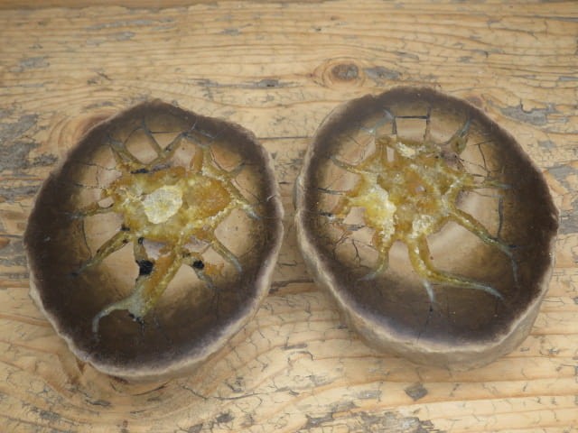 septaria sferosyderyt * syderyt ilasty * Polska - para