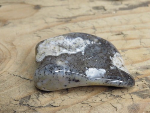 opal mszysty * Turcja