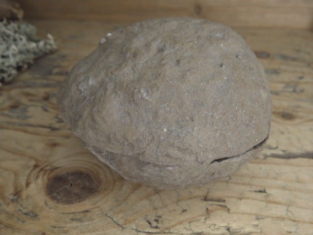 septaria sferosyderyt * syderyt ilasty * Polska - para