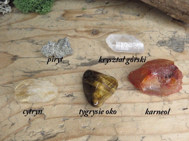 Lew - znak zodiaku - amulet zodiakalny