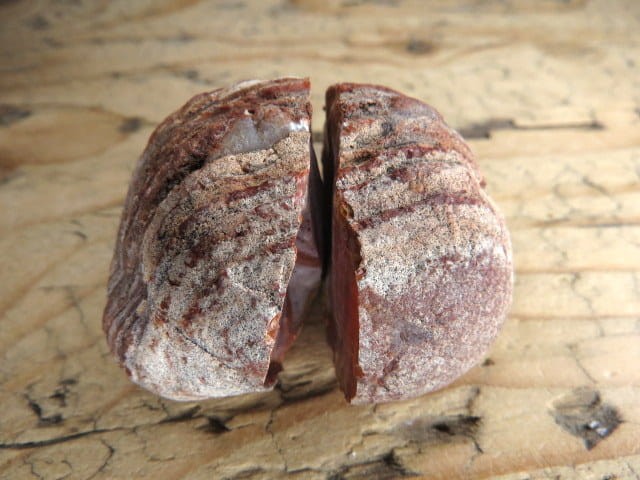 agat rzeczny Brazylia