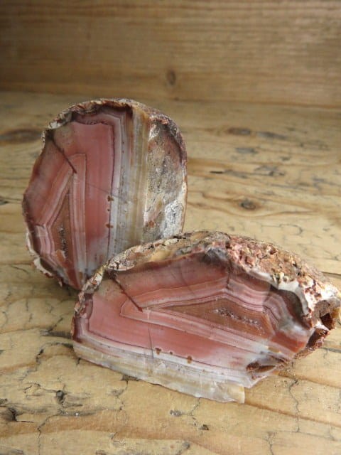 agat rzeczny Brazylia