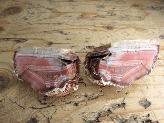 agat rzeczny Brazylia