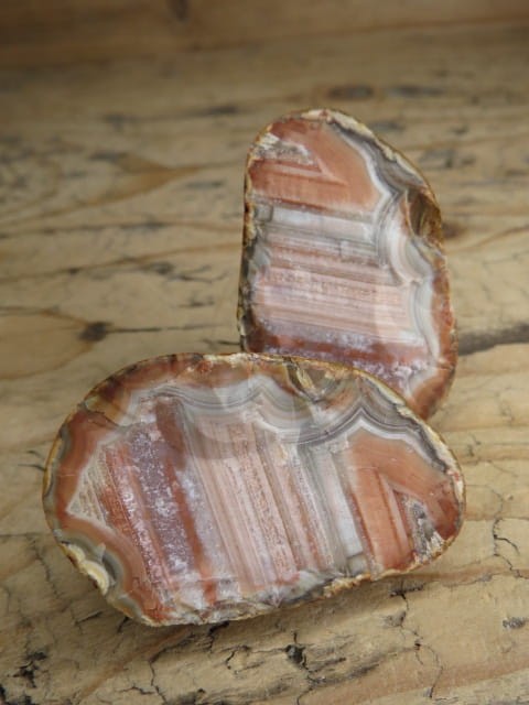 agat rzeczny Brazylia