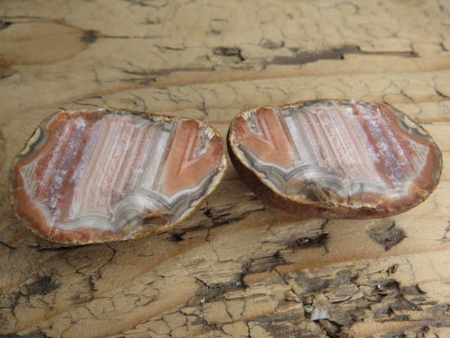 agat rzeczny Brazylia