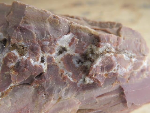 jaspis * Suszyna Polska