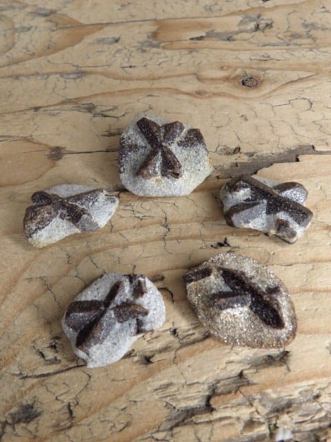 staurolit - Półwysep Kolski Rosja