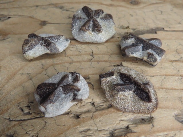 staurolit - Półwysep Kolski Rosja