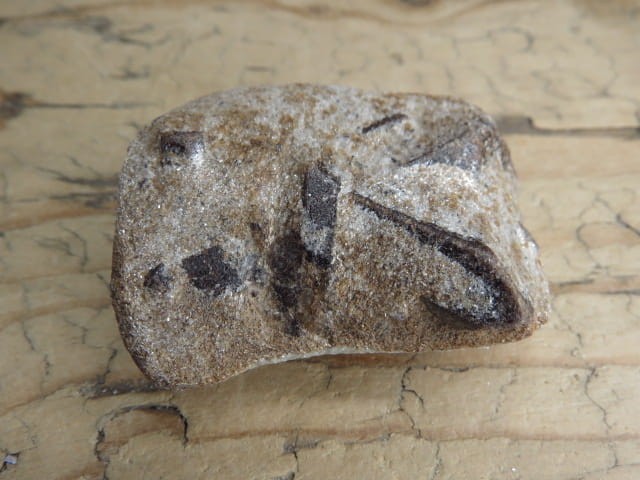 staurolit - Półwysep Kolski Rosja