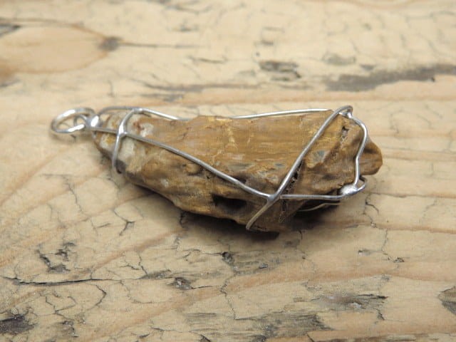 Skamieniałe drewno * wisior