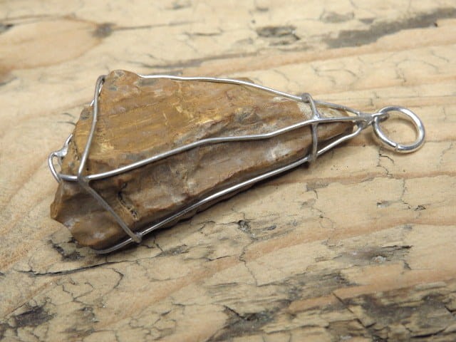 Skamieniałe drewno * wisior