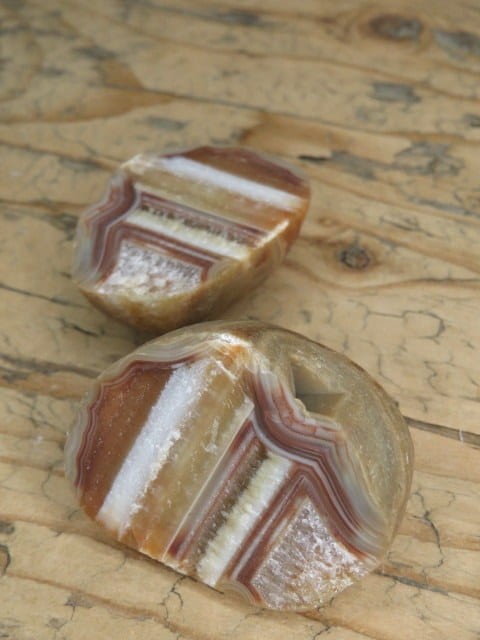 agat rzeczny Brazylia