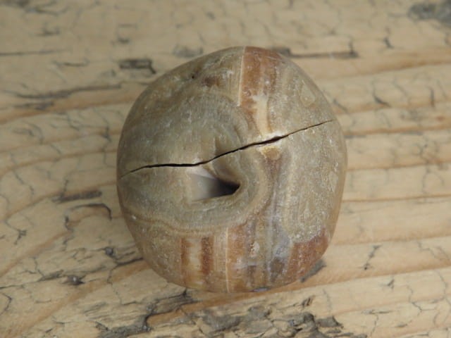 agat rzeczny Brazylia