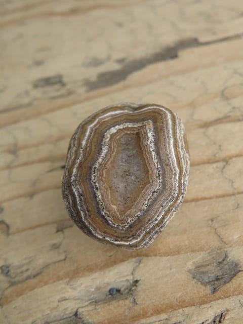 agat rzeczny Brazylia