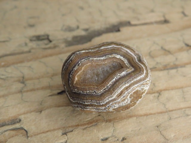 agat rzeczny Brazylia