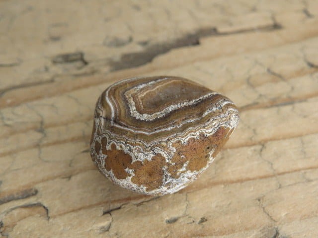 agat rzeczny Brazylia