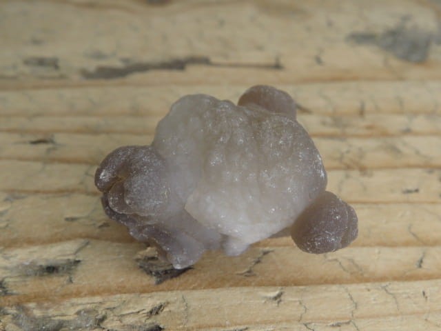 chalcedon Maroko - konkrecja