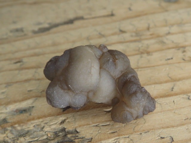 chalcedon Maroko - konkrecja