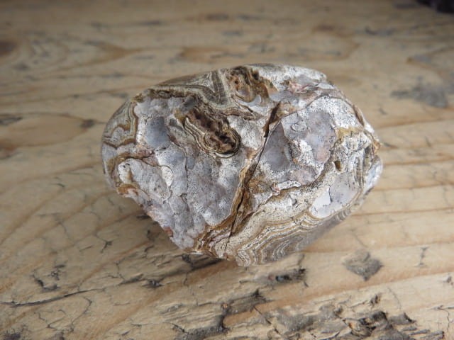 agat rzeczny Brazylia