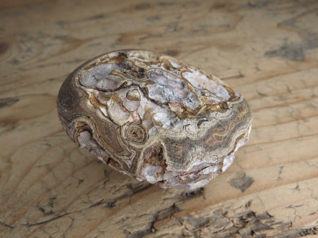 agat rzeczny Brazylia