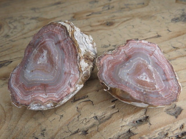 agat rzeczny Brazylia