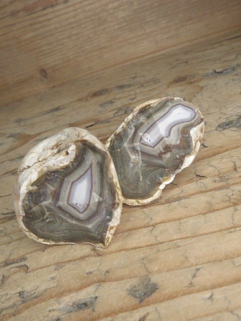 agat rzeczny Brazylia