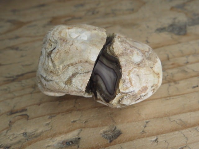 agat rzeczny Brazylia