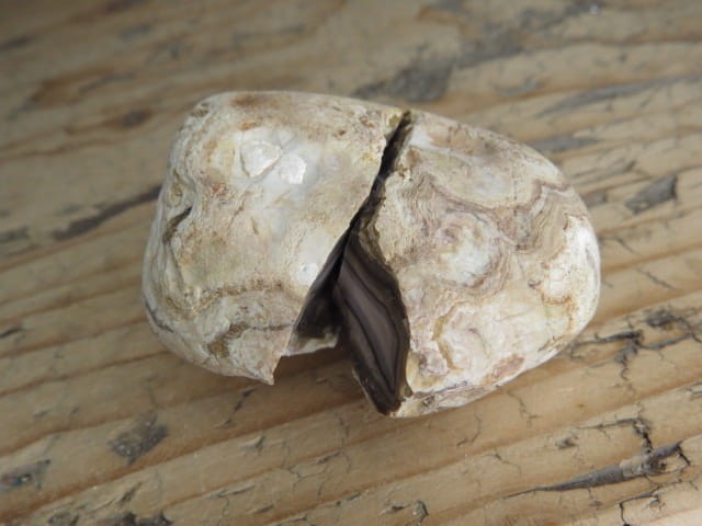 agat rzeczny Brazylia