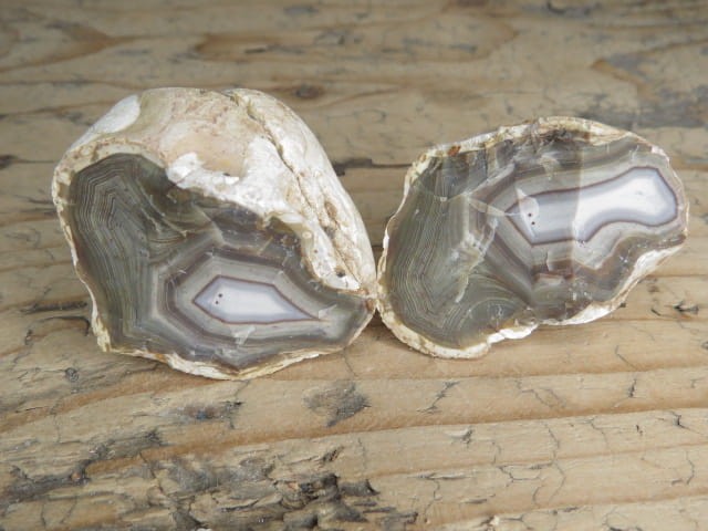 agat rzeczny Brazylia