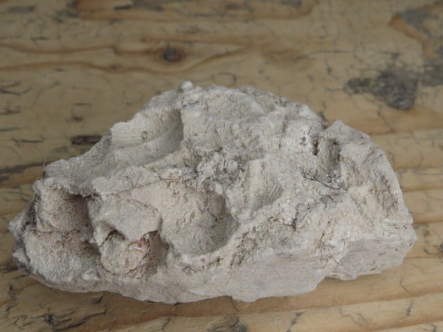 piaskowiec spiriferowy * Polska * dewon