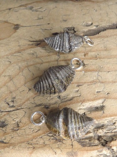 spirifer - wisiorek ze skamieniałości