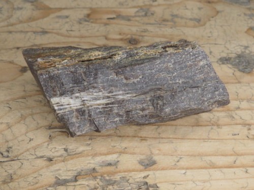 skamieniałe drewno * Polska