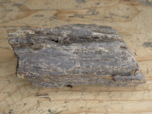 skamieniałe drewno * Polska