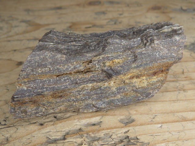 skamieniałe drewno * Polska