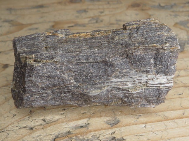 skamieniałe drewno * Polska