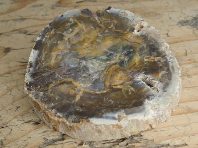 skamieniałe drewno * Madagaskar