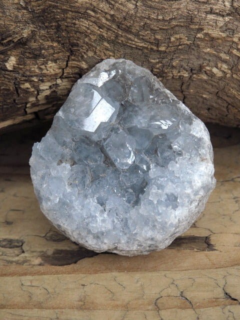 celestyn geoda * Madagaskar