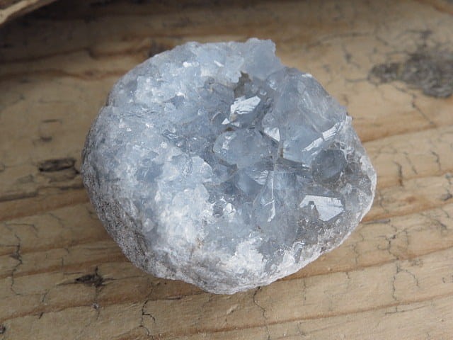 celestyn geoda * Madagaskar