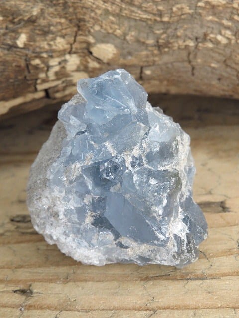 celestyn * Madagaskar